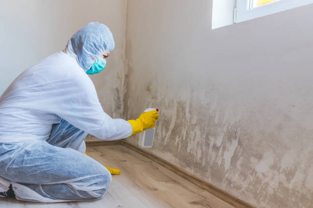 Licensed Commercial Mold Remediation service in Lexington, VA - WQB Mold Removal