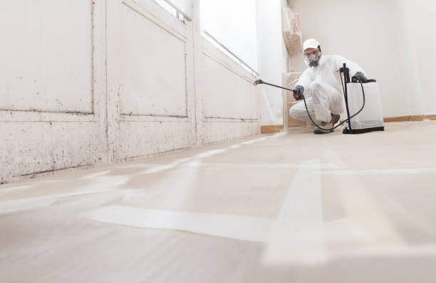 24/7 Emergency Commercial Mold Remediation experts in Lexington, VA