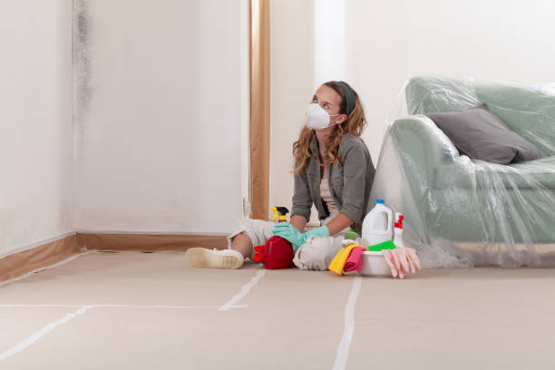 Reliable Commercial Mold Remediation contractor in Lexington, VA by WQB Mold Removal