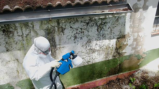 Top rated local Commercial Mold Remediation specialists in Lexington, VA